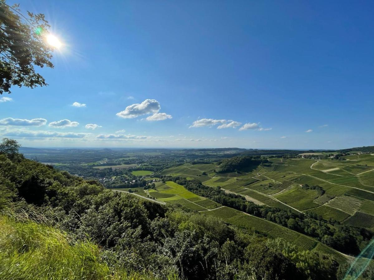 Location La Ferte, Calme Et Proximite Centre Ville Classe 3 Etoiles Lons-le-Saunier Buitenkant foto