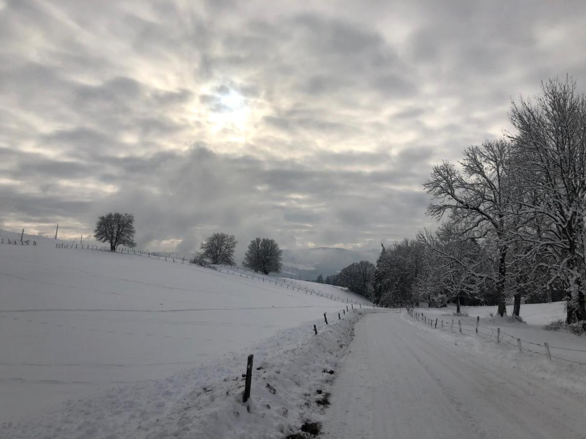 Location La Ferte, Calme Et Proximite Centre Ville Classe 3 Etoiles Lons-le-Saunier Buitenkant foto